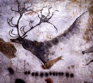 Lascaux - stag