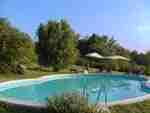 the pool