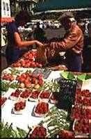 Castillon Market on Monday