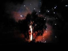 Fireworks by the lake