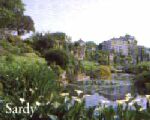 Sardy
