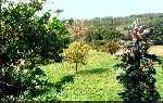 from the main bedroom
