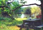 Welcome view of lake from farm house